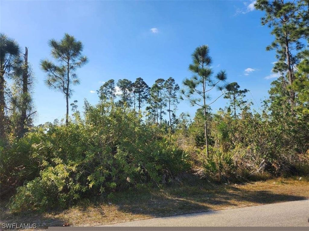 1059 Fayette Avenue, Lehigh Acres, FL 33974 photo 3