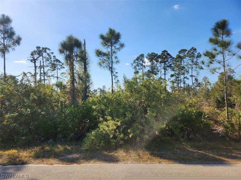 1059 Fayette Avenue, Lehigh Acres, FL 33974 photo 4