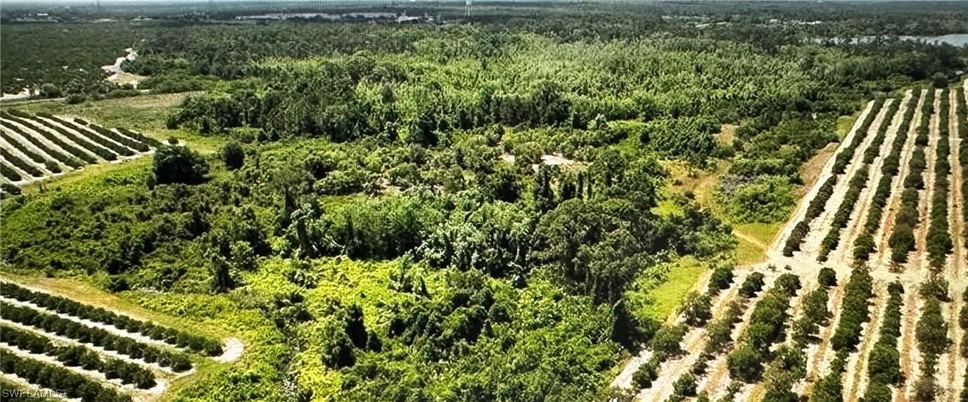 275 S Bear Pointe Drive, Lake Placid, FL 33852 photo 4