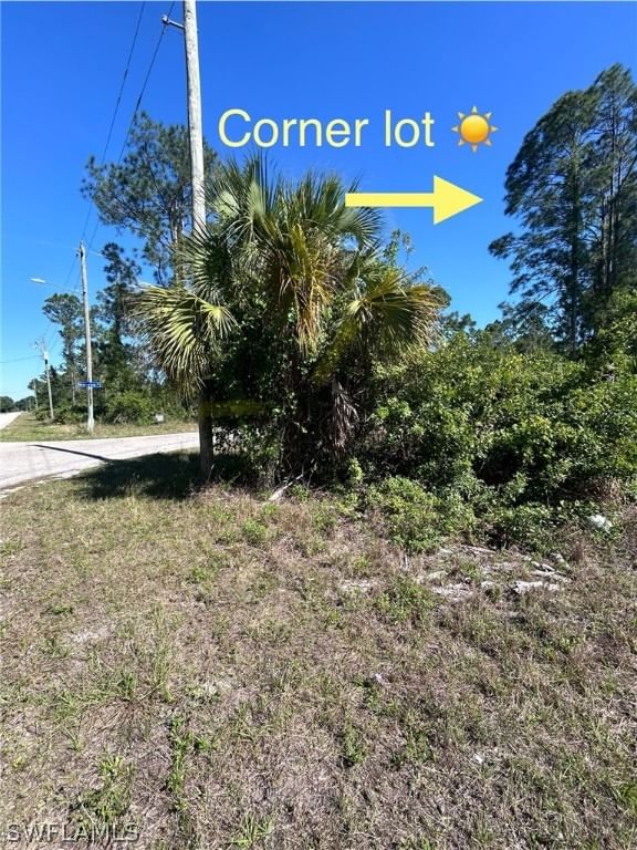3706 E 21st Street, Alva, FL 33920 photo 2