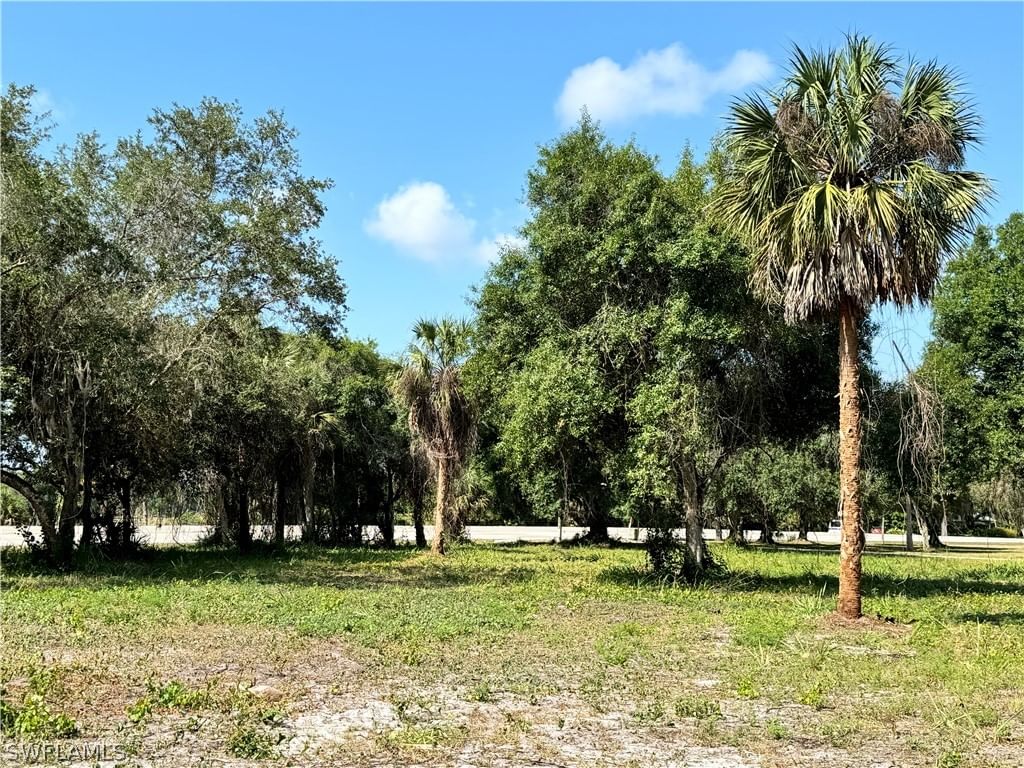 0 Magnolia Avenue, Labelle, FL 33935 photo 5