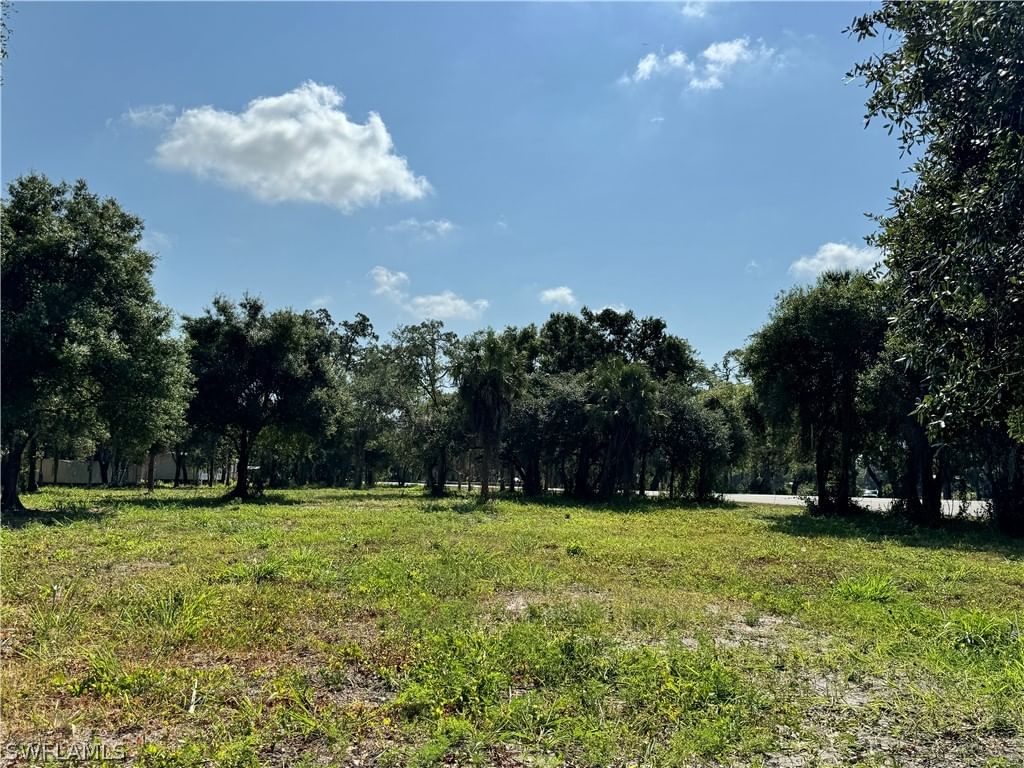 500 Avalon Avenue, Labelle, FL 33935 photo 5