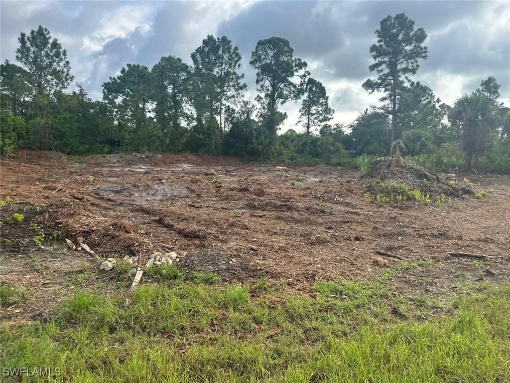 1063 Binkley Street E, Lehigh Acres, FL 33974 photo 4
