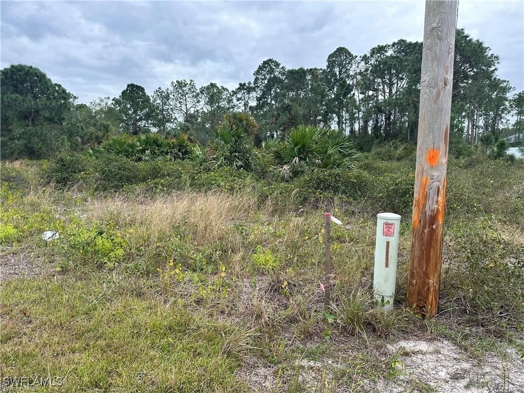 650 Knapp Street, Lehigh Acres, FL 33974 photo 3