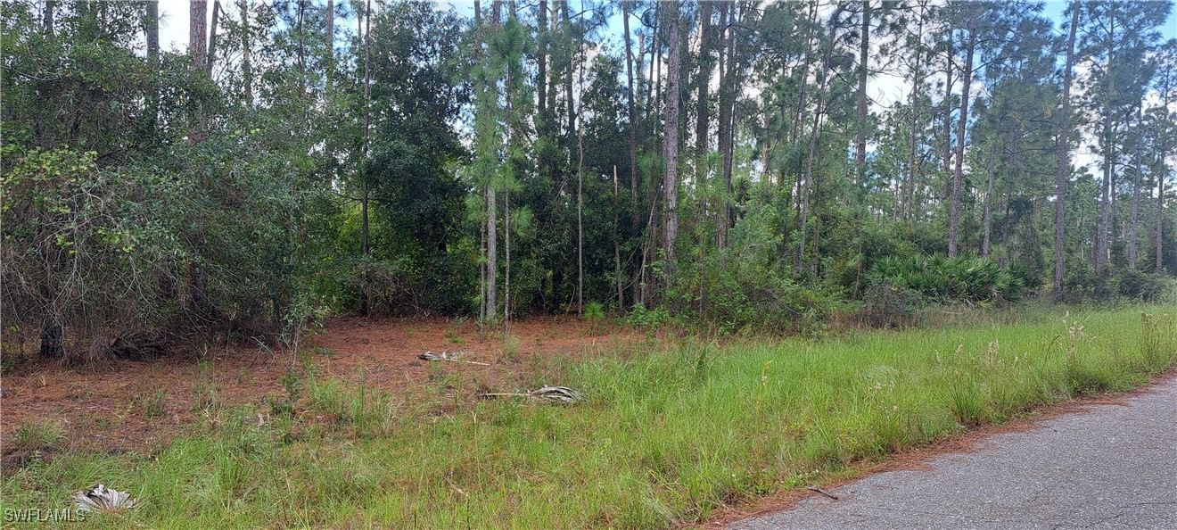 3806 13th Street, Lehigh Acres, FL 33972 photo 2