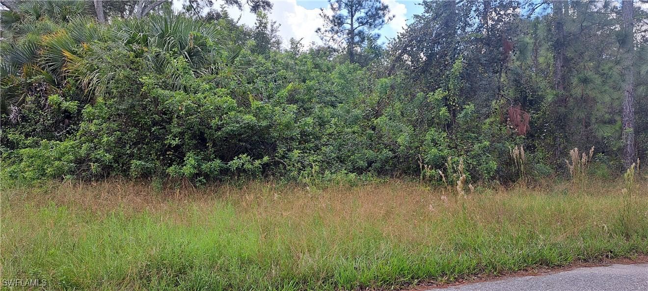 3806 13th Street, Lehigh Acres, FL 33972 photo 3