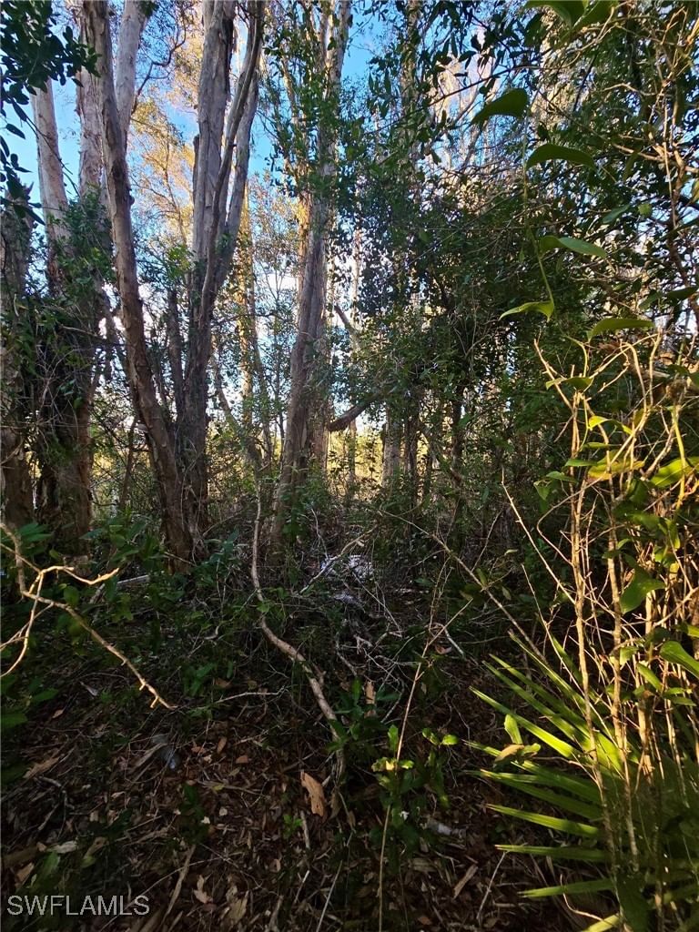 3402 39th Street SW, Lehigh Acres, FL 33976 photo 3