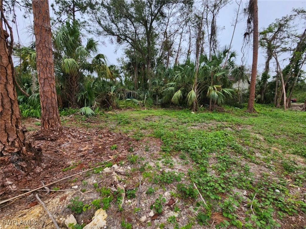 2004 Canton Avenue, Alva, FL 33920 photo 3