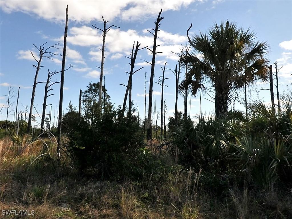 Boskoop Road, North Port, FL 34288 photo 2