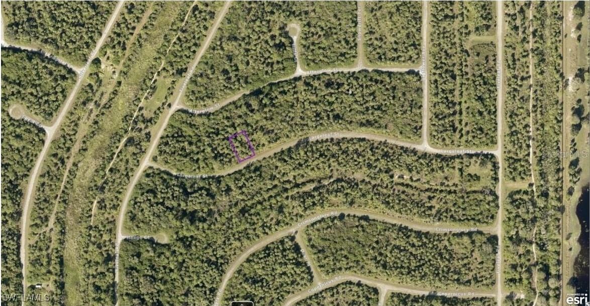 1127226126 Largeleaf Street, North Port, FL 34288 photo 2