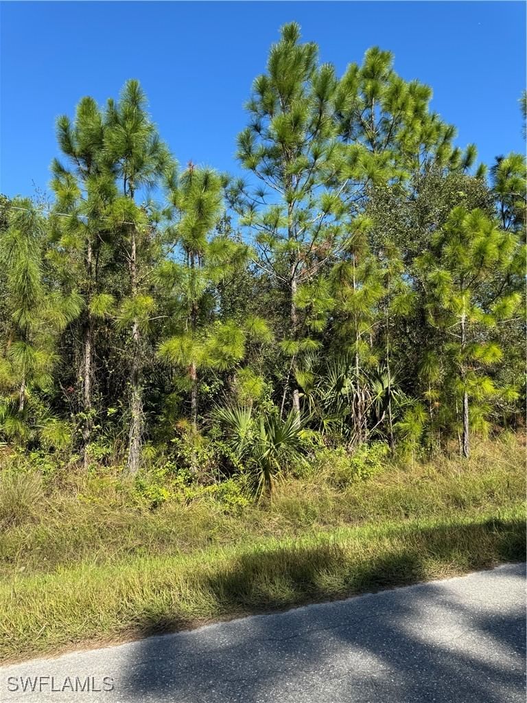 2501 E 9th Street, Lehigh Acres, FL 33936 photo 2
