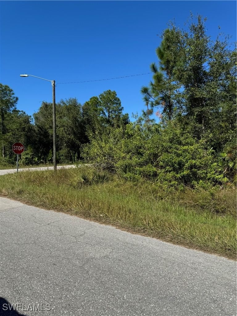 2501 E 9th Street, Lehigh Acres, FL 33936 photo 3