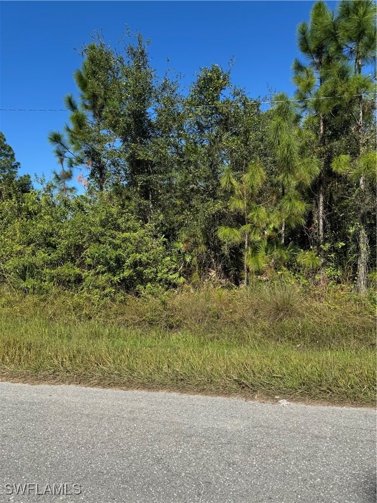 2501 E 9th Street, Lehigh Acres, FL 33936 photo 5
