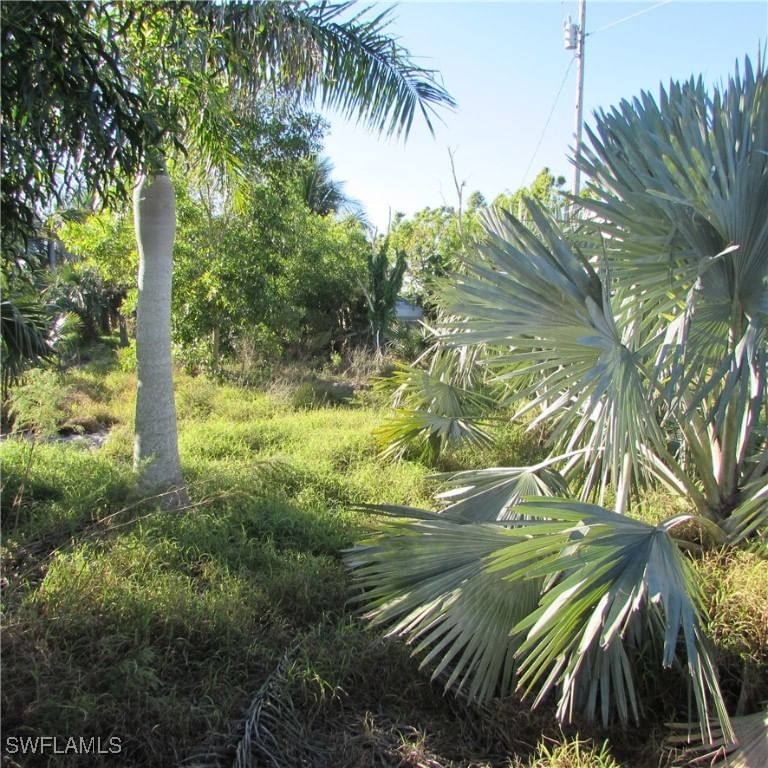 10011 Stringfellow Road, St James City, FL 33956 photo 4