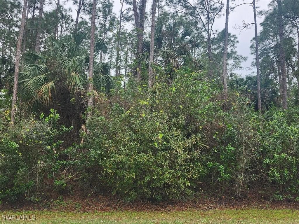 3415 41st Avenue NE, Naples, FL 34120 photo 2