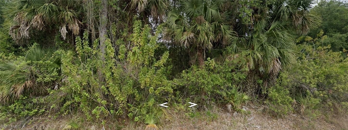 412 Broadway Avenue, Lehigh Acres, FL 33972 photo 3