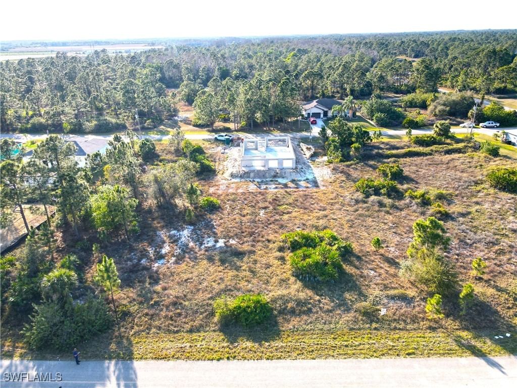 1038 Bassinger Avenue S, Lehigh Acres, FL 33974 photo 3