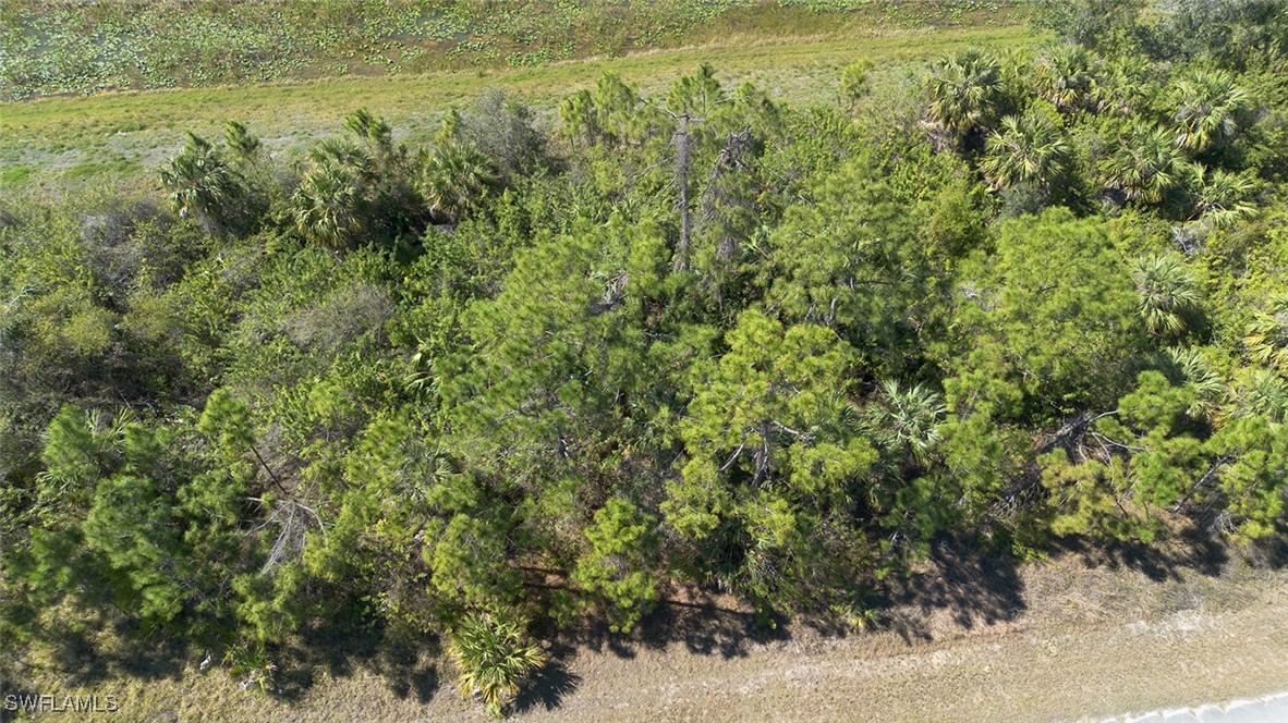 Grover Circle, North Port, FL 34288 photo 5