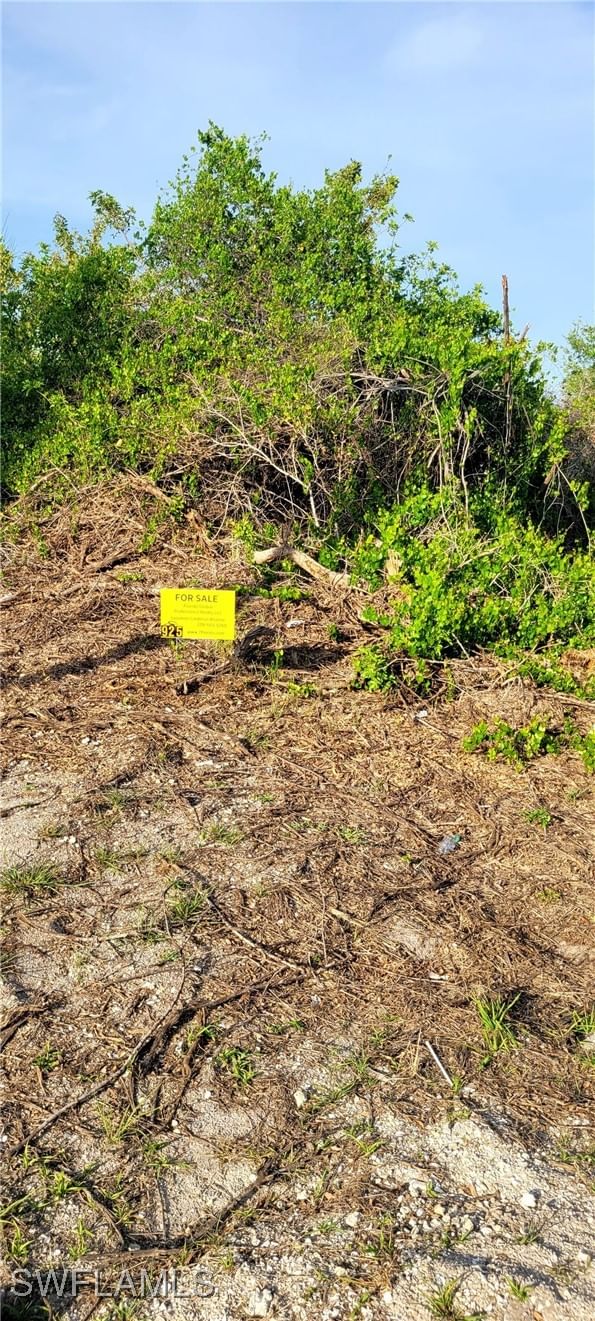 925 MACY Street E, Lehigh Acres, FL 33974 photo 3