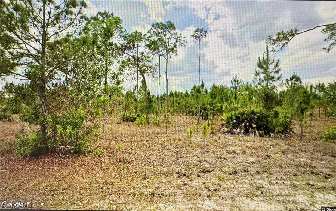 1005 Hamilton Avenue, Lehigh Acres, FL 33972 photo 3