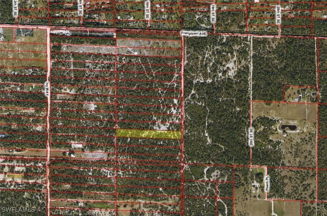 xx Frangipani Avenue, Naples, FL 34117 photo 2