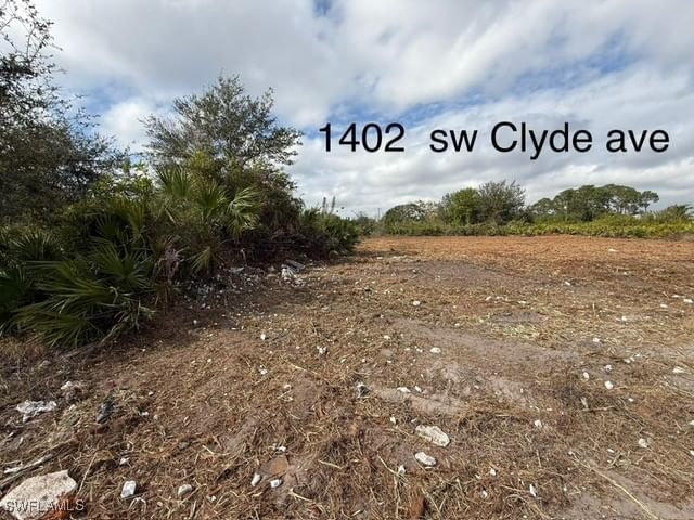 1402 Clyde Avenue S, Lehigh Acres, FL 33976 photo 5