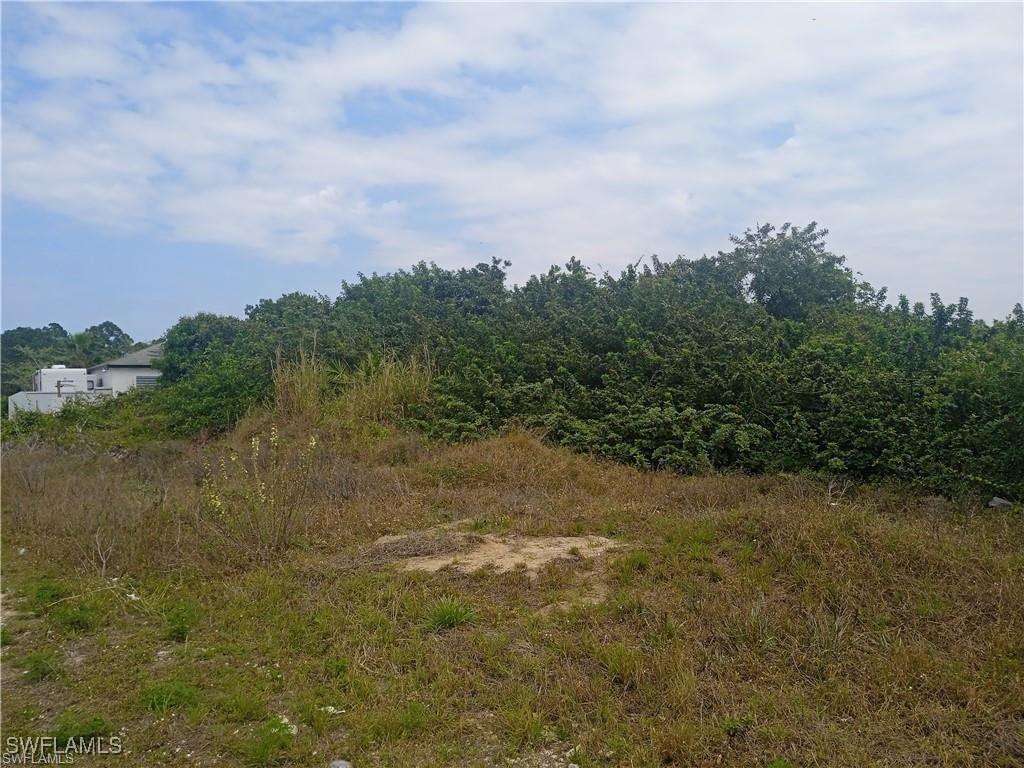 3418 11th Street SW, Lehigh Acres, FL 33976 photo 5