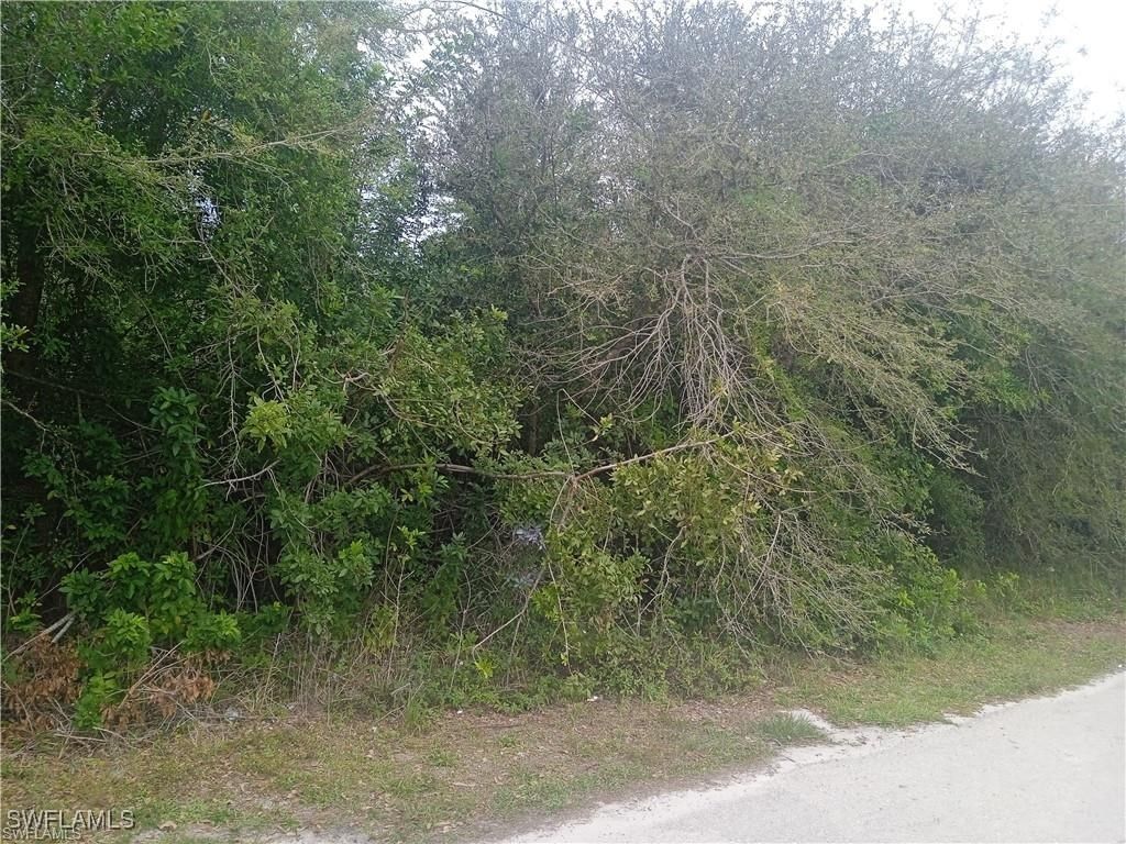 3512 26th Street SW, Lehigh Acres, FL 33976 photo 2