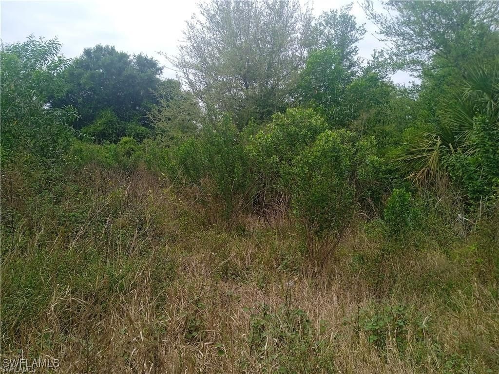 3512 26th Street SW, Lehigh Acres, FL 33976 photo 3