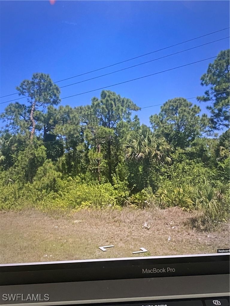4952 Leonard Boulevard S, Lehigh Acres, FL 33973 photo 2