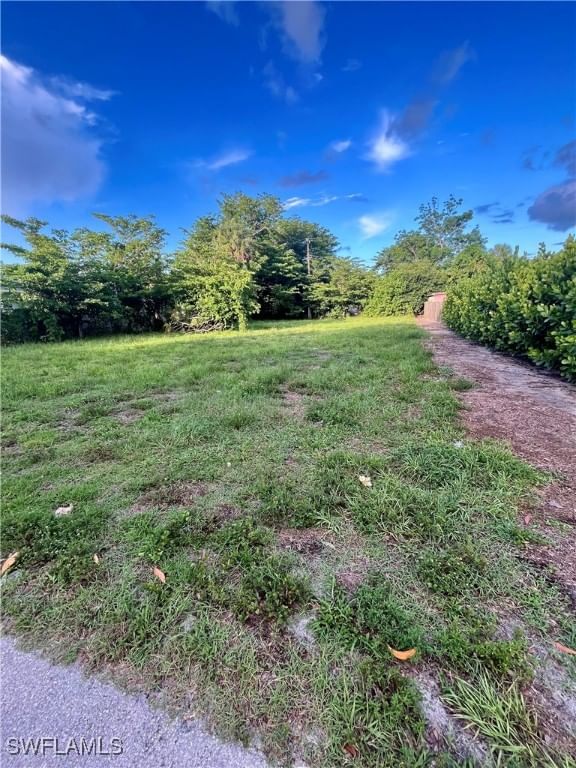 2317 Altamont Avenue, Fort Myers, FL 33901 photo 4