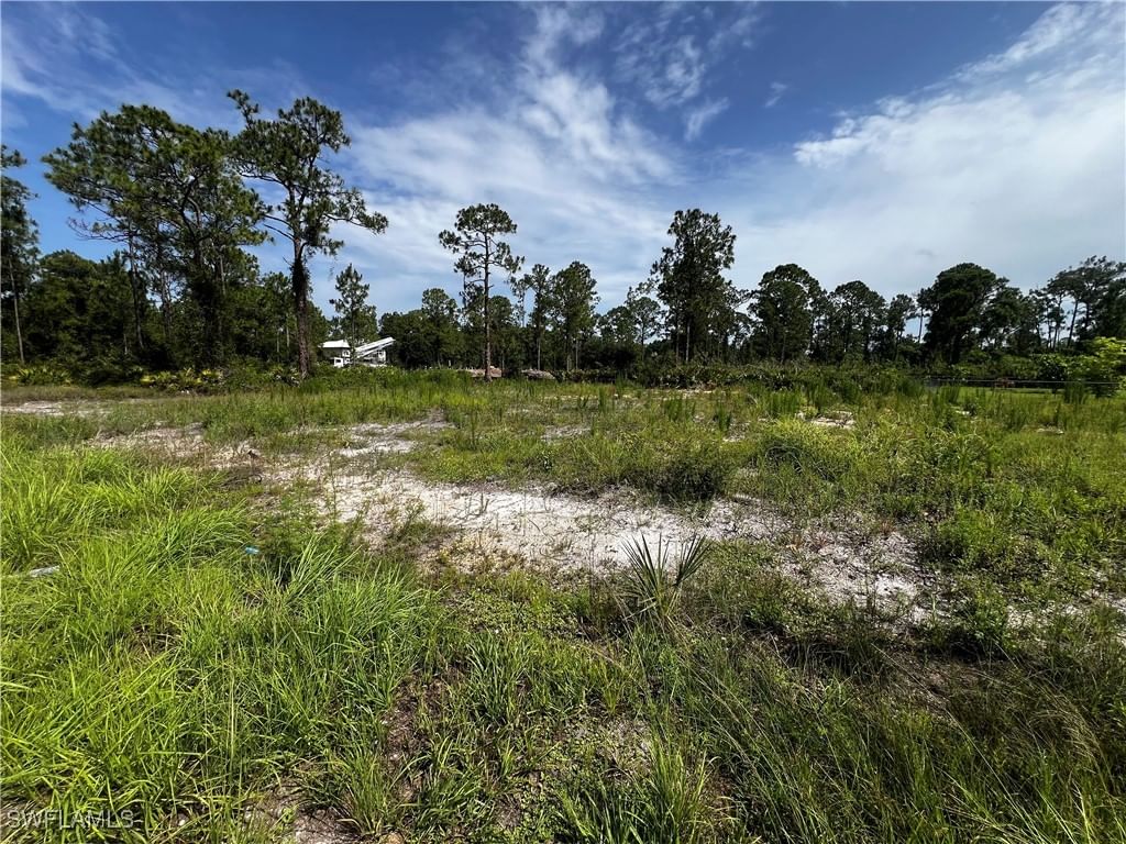 1304 W 9th Street, Lehigh Acres, FL 33972 photo 3