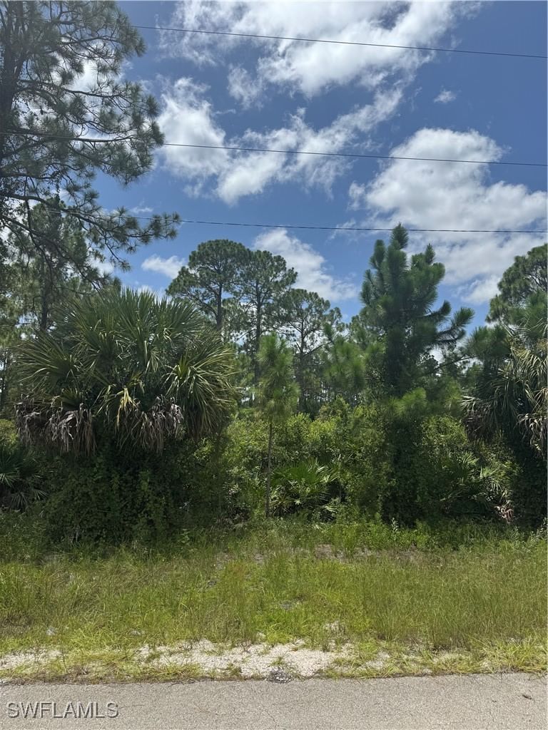 3315 70th Street W, Lehigh Acres, FL 33971 photo 2