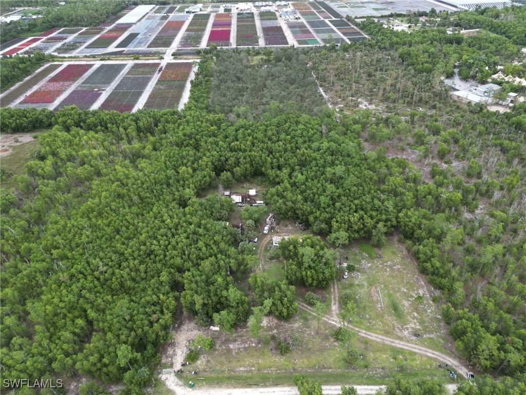 1775 Kearney Avenue, Naples, FL 34117 photo 3