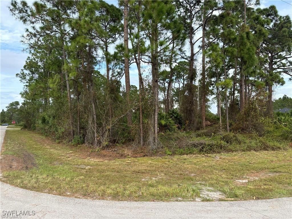 925 Barton Street E, Lehigh Acres, FL 33974 photo 2