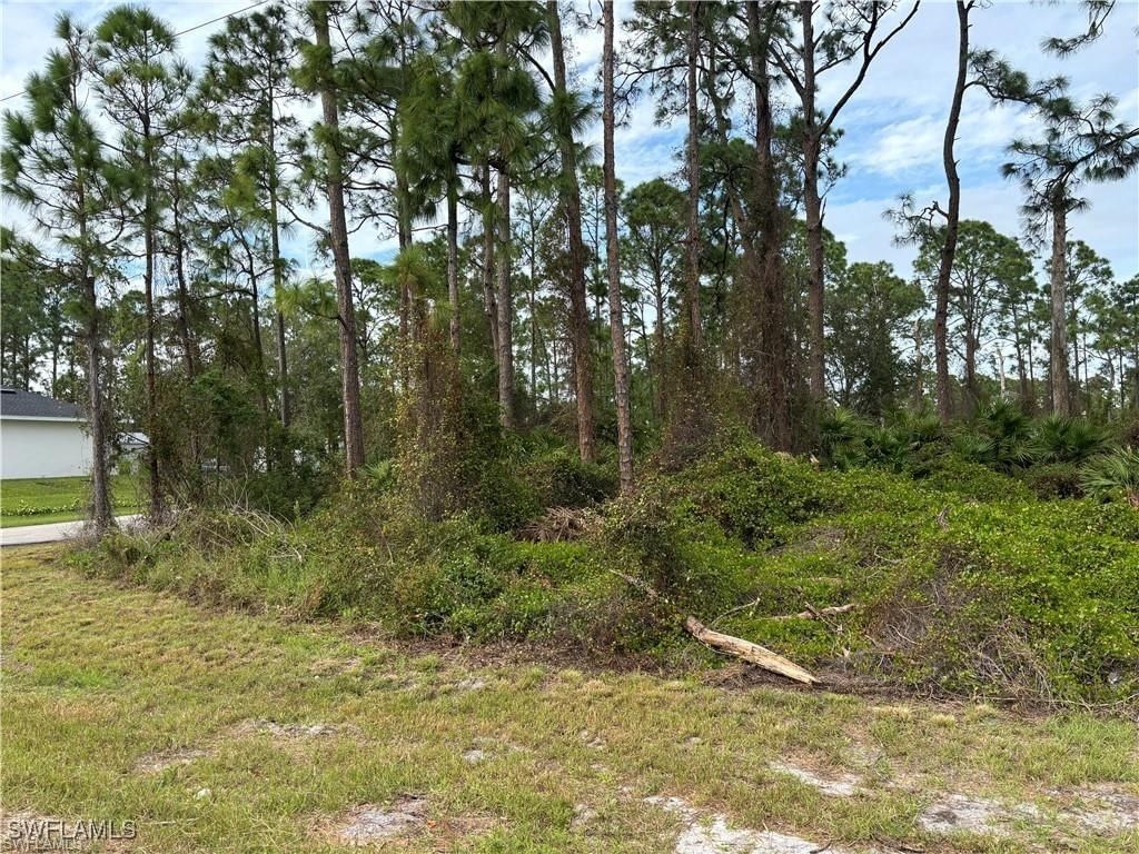 925 Barton Street E, Lehigh Acres, FL 33974 photo 3