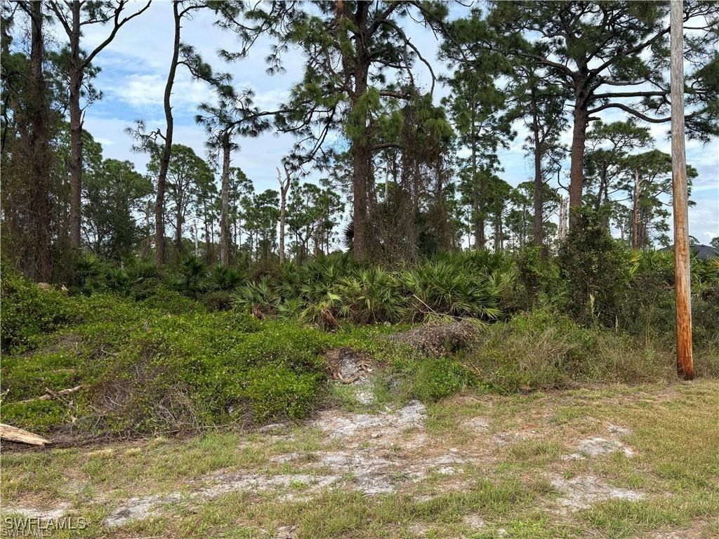 925 Barton Street E, Lehigh Acres, FL 33974 photo 4