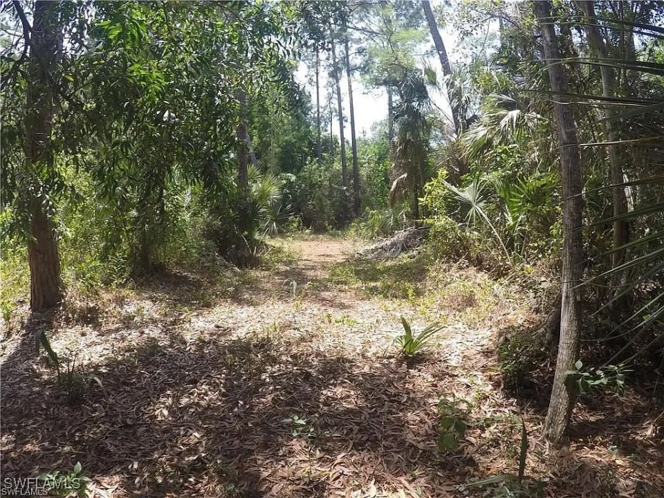 5700 Cedar Tree Lane, Naples, FL 34116 photo 5