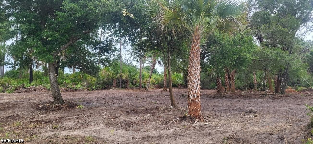 315 IVANHOE AVE Banyan Village Ave, Labelle, FL 33935 photo 2