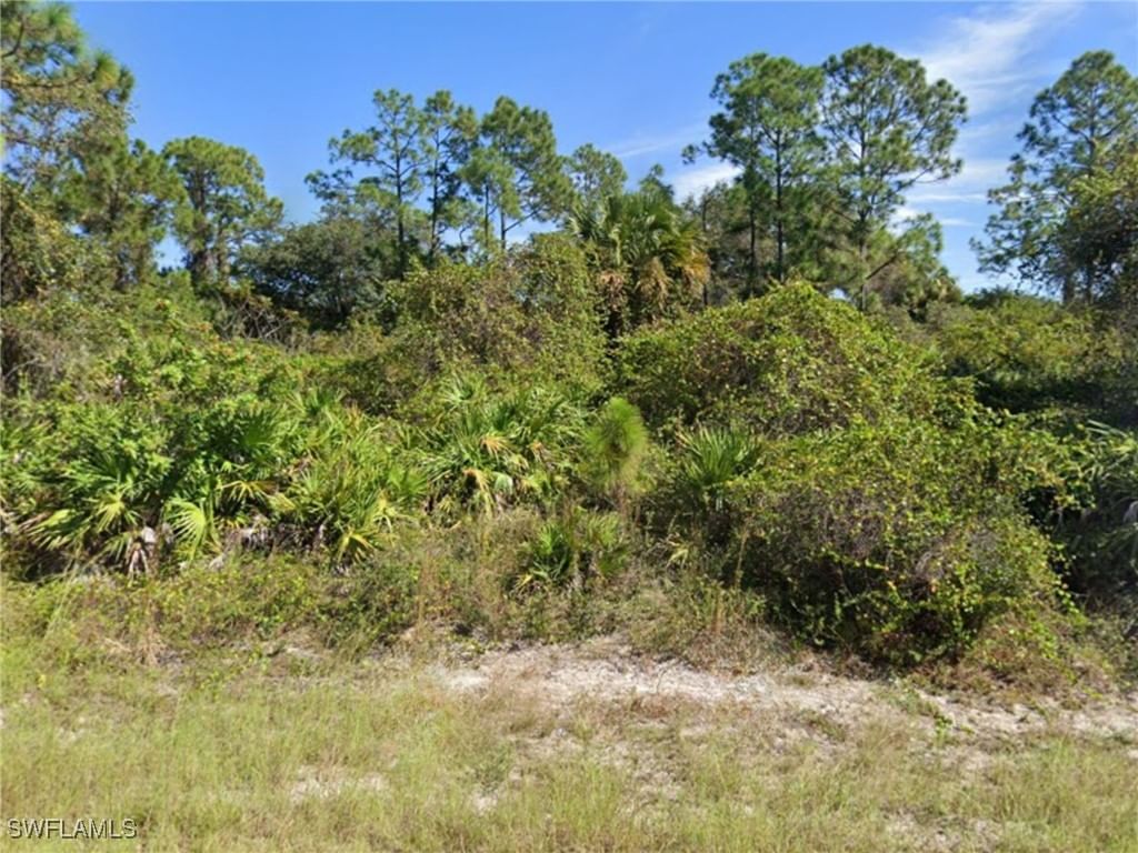 2604 Fitch Avenue, Alva, FL 33920 photo 2