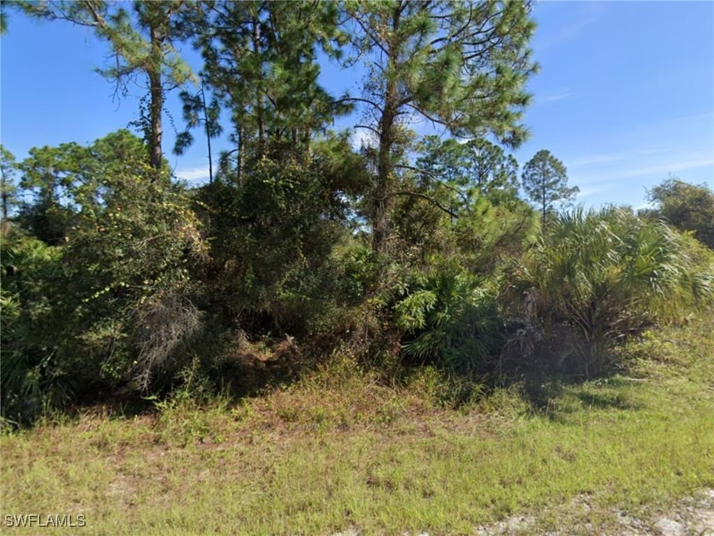 2604 Fitch Avenue, Alva, FL 33920 photo 3