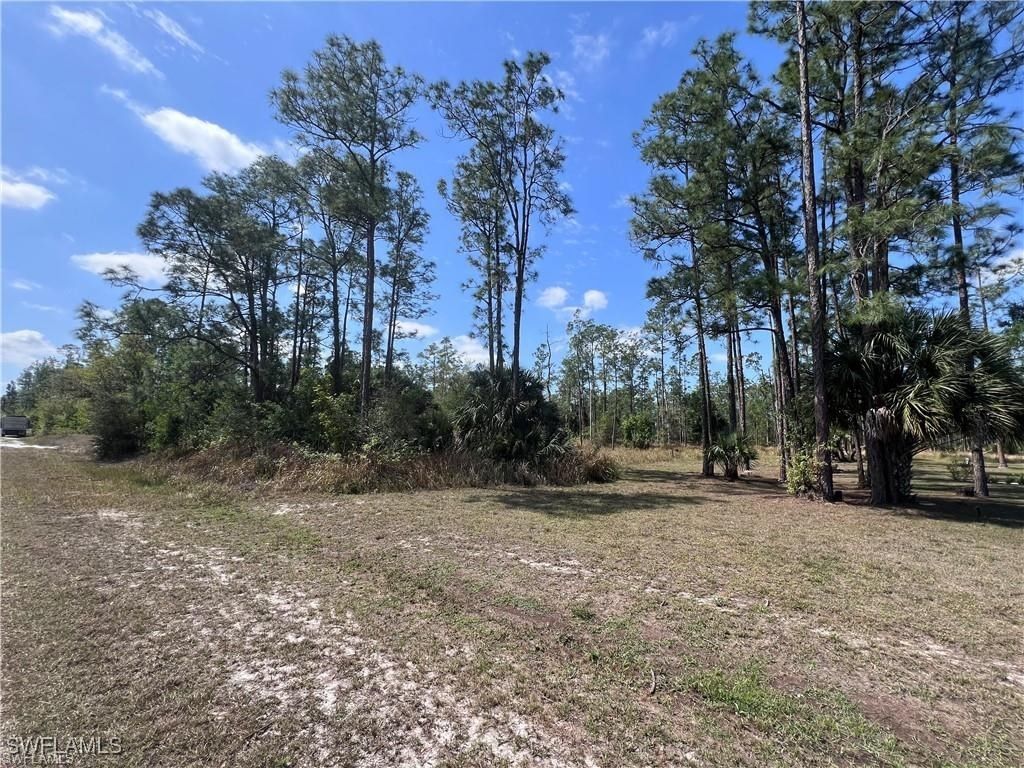 1317 Washington Avenue, Lehigh Acres, FL 33972 photo 3