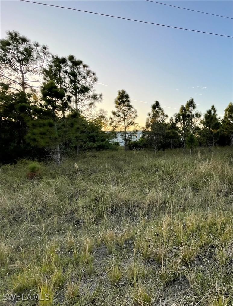 916-918 Countess Avenue, Lehigh Acres, FL 33974 photo 2