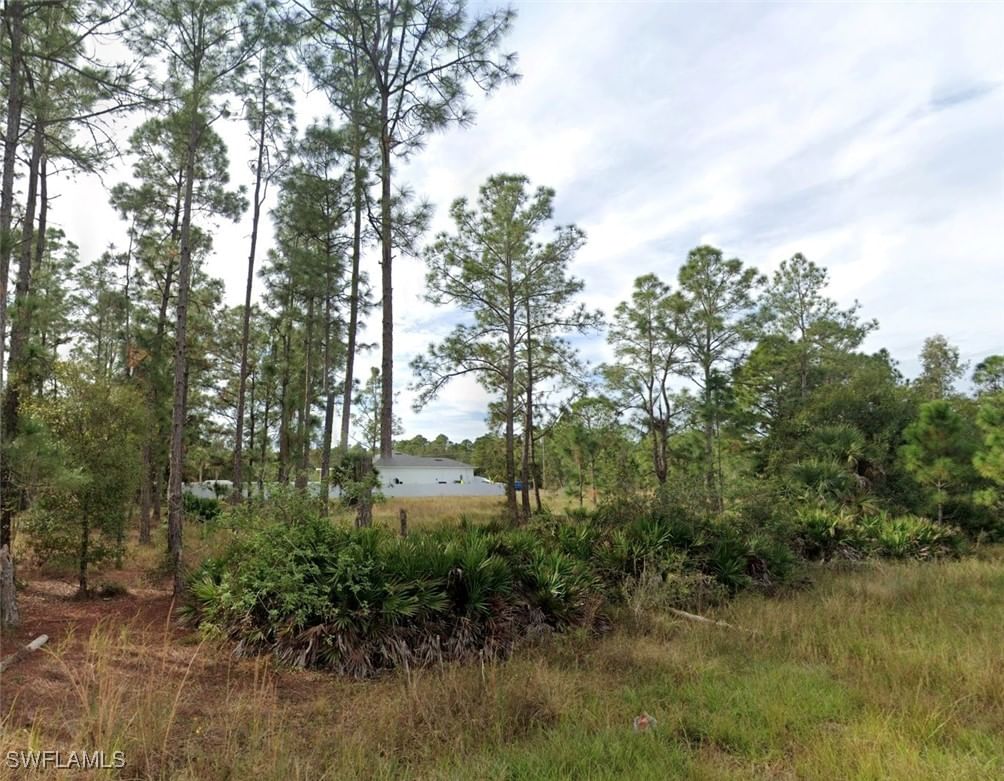 3002 E 14th Street, Lehigh Acres, FL 33972 photo 2