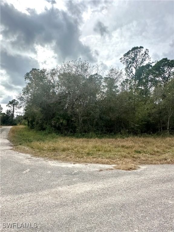1226 Sunrise Boulevard, Lehigh Acres, FL 33974 photo 3