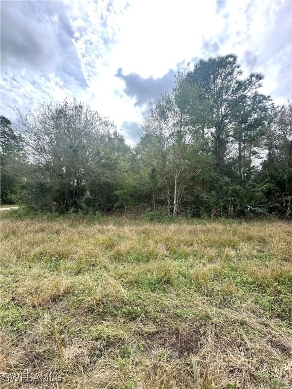 1226 Sunrise Boulevard, Lehigh Acres, FL 33974 photo 4