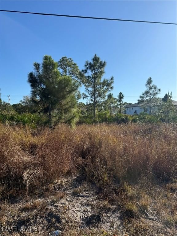 385 LILLON Avenue S, Lehigh Acres, FL 33974 photo 4