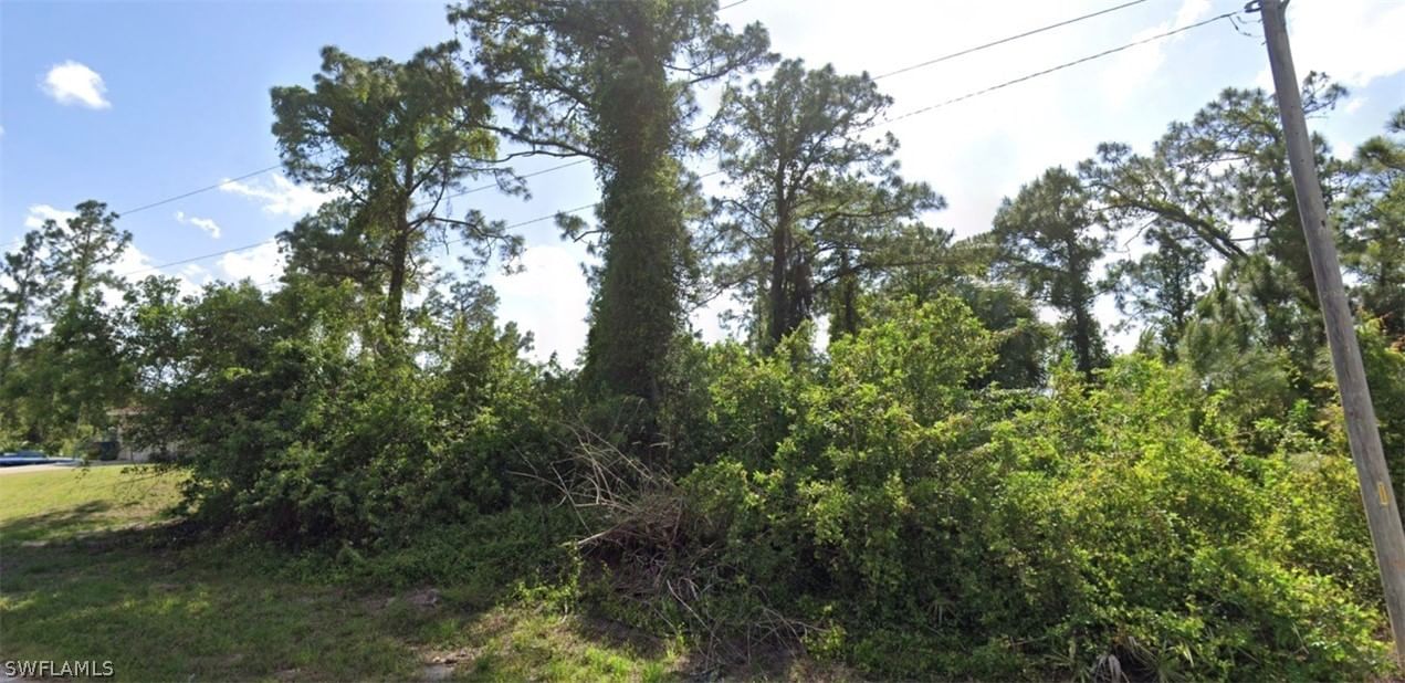228 Callaway Avenue S, Lehigh Acres, FL 33974 photo 2