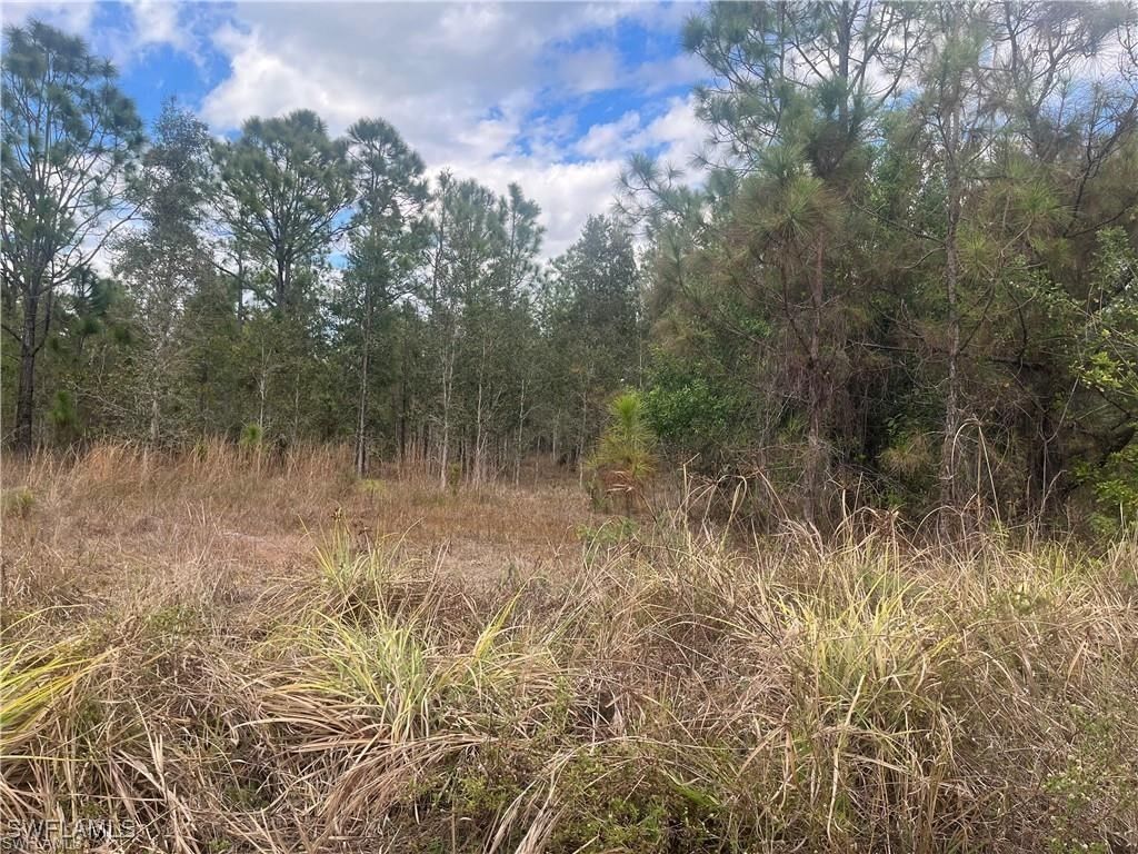 4481 68th Avenue NE, Naples, FL 34120 photo 3