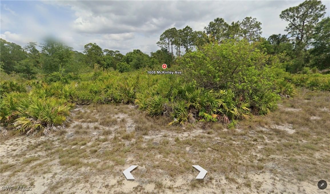 1608 McKinley Avenue, Lehigh Acres, FL 33972 photo 2